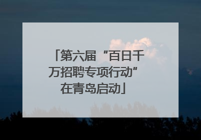 第六届“百日千万招聘专项行动”在青岛启动