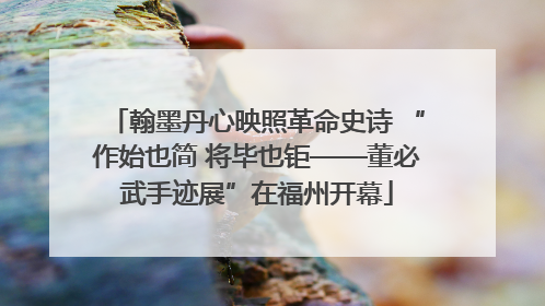 翰墨丹心映照革命史诗 “作始也简 将毕也钜——董必武手迹展”在福州开幕