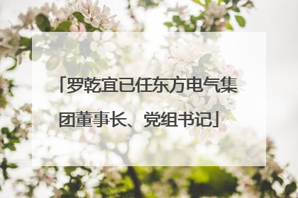 罗乾宜已任东方电气集团董事长、党组书记