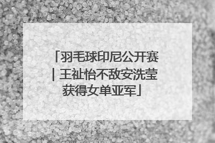 羽毛球印尼公开赛｜王祉怡不敌安洗莹 获得女单亚军