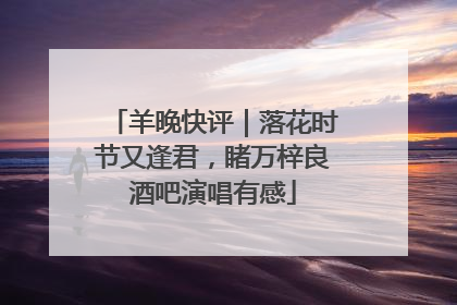 羊晚快评｜落花时节又逢君，睹万梓良酒吧演唱有感
