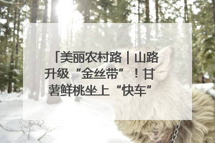 美丽农村路｜山路升级“金丝带”！甘薯鲜桃坐上“快车”，开去大市场