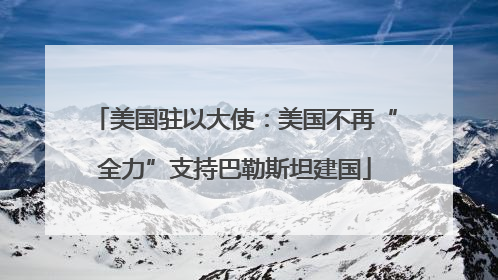 美国驻以大使：美国不再“全力”支持巴勒斯坦建国