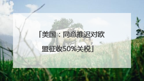美国：同意推迟对欧盟征收50%关税
