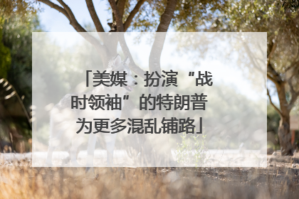 美媒：扮演“战时领袖”的特朗普为更多混乱铺路