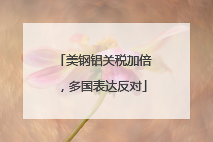 美钢铝关税加倍，多国表达反对