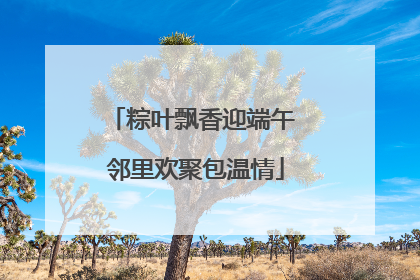 粽叶飘香迎端午 邻里欢聚包温情