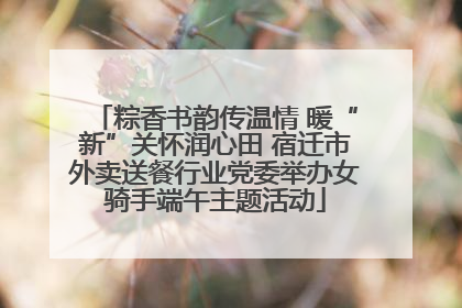 粽香书韵传温情 暖“新”关怀润心田 宿迁市外卖送餐行业党委举办女骑手端午主题活动