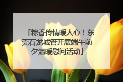 粽香传情暖人心！东莞石龙城管开展端午前夕温暖慰问活动