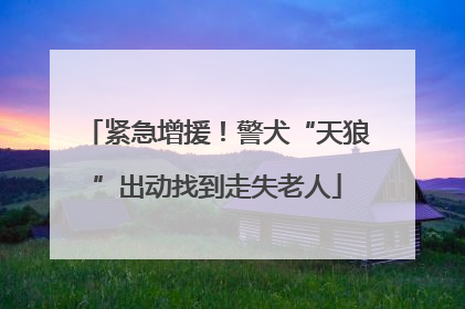 紧急增援！警犬“天狼”出动找到走失老人