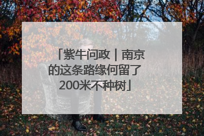 紫牛问政｜南京的这条路缘何留了200米不种树
