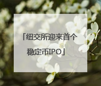 纽交所迎来首个稳定币IPO