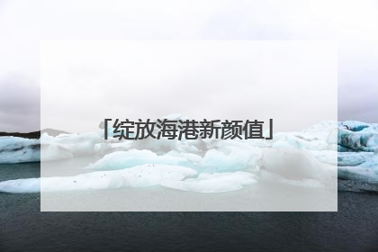 绽放海港新颜值