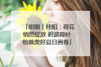 组图｜桂阳：荷花悄然绽放 碧波荷叶绘就美好夏日画卷