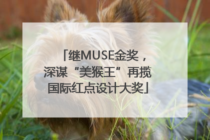 继MUSE金奖，深谋“美猴王”再揽国际红点设计大奖