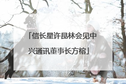 信长星许昆林会见中兴通讯董事长方榕
