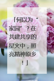 何以为“家园”？在共建共享的星火中，照亮精神原乡！