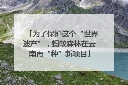 为了保护这个“世界遗产”，蚂蚁森林在云南再“种”新项目