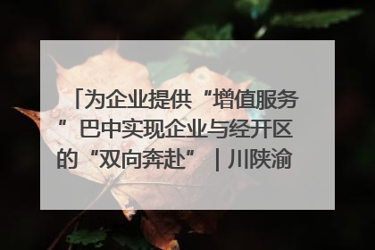 为企业提供“增值服务”巴中实现企业与经开区的“双向奔赴”｜川陕渝网络名人巴中行