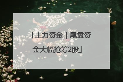 主力资金｜尾盘资金大幅抢筹2股