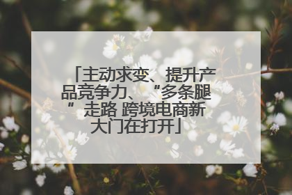 主动求变、提升产品竞争力、“多条腿”走路 跨境电商新大门在打开