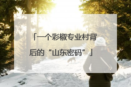 一个彩椒专业村背后的“山东密码”