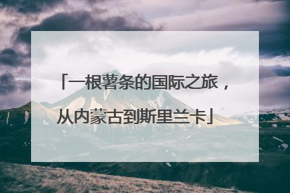 一根薯条的国际之旅，从内蒙古到斯里兰卡