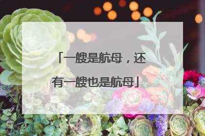 一艘是航母，还有一艘也是航母