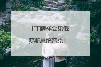 丁薛祥会见俄罗斯总统普京
