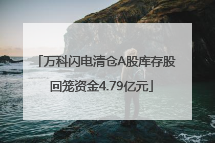 万科闪电清仓A股库存股 回笼资金4.79亿元