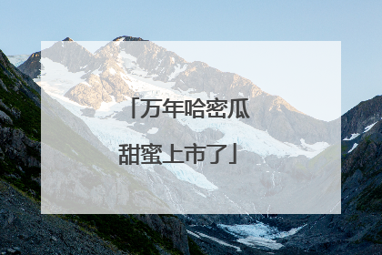万年哈密瓜甜蜜上市了