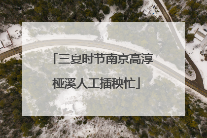 三夏时节南京高淳桠溪人工插秧忙