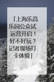 上海乐高乐园公众试运营开启！好不好玩？记者现场打卡体验