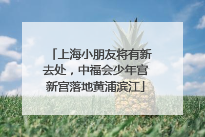 上海小朋友将有新去处，中福会少年宫新宫落地黄浦滨江