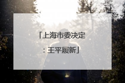 上海市委决定：王平履新