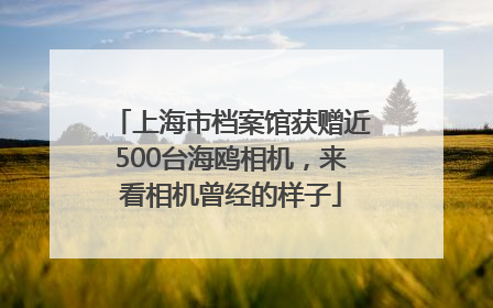 上海市档案馆获赠近500台海鸥相机，来看相机曾经的样子