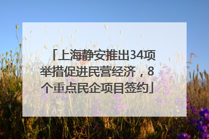 上海静安推出34项举措促进民营经济，8个重点民企项目签约