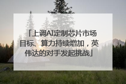 上调AI定制芯片市场目标、算力持续增加，英伟达的对手发起挑战