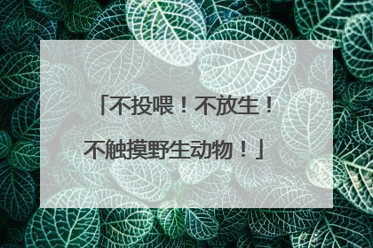 不投喂！不放生！不触摸野生动物！
