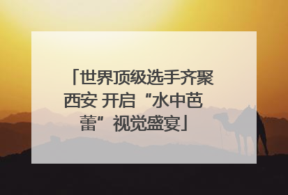 世界顶级选手齐聚西安 开启“水中芭蕾”视觉盛宴