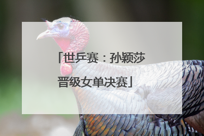 世乒赛：孙颖莎晋级女单决赛