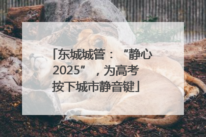 东城城管：“静心2025”，为高考按下城市静音键