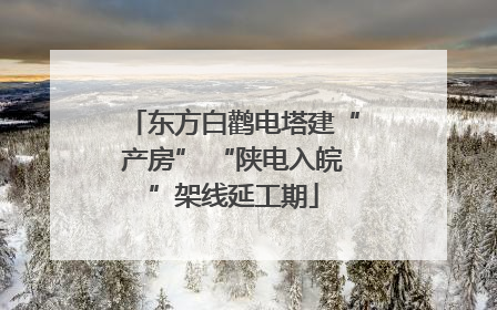 东方白鹳电塔建“产房” “陕电入皖”架线延工期
