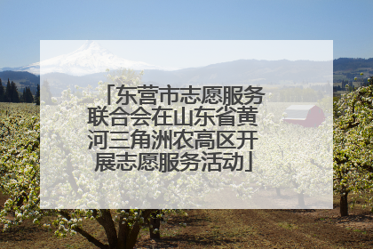 东营市志愿服务联合会在山东省黄河三角洲农高区开展志愿服务活动