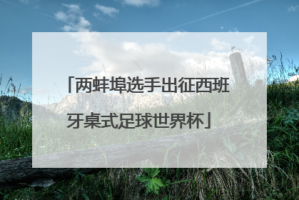 两蚌埠选手出征西班牙桌式足球世界杯