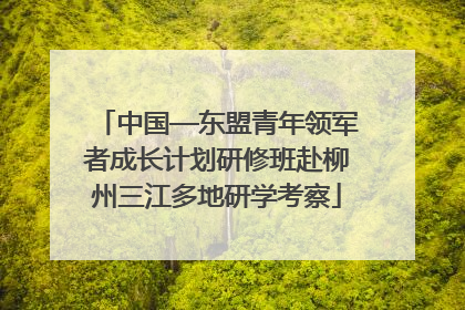 中国—东盟青年领军者成长计划研修班赴柳州三江多地研学考察