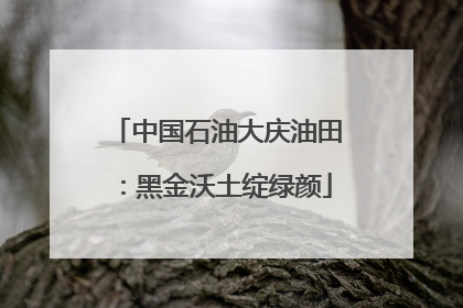 中国石油大庆油田：黑金沃土绽绿颜