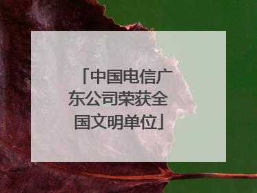 中国电信广东公司荣获全国文明单位