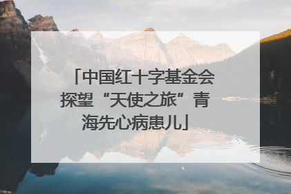 中国红十字基金会探望“天使之旅”青海先心病患儿