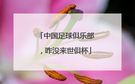 中国足球俱乐部，咋没来世俱杯